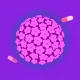 Virus del Papiloma Humano