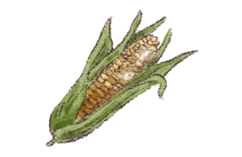 chucula bebida ancestral