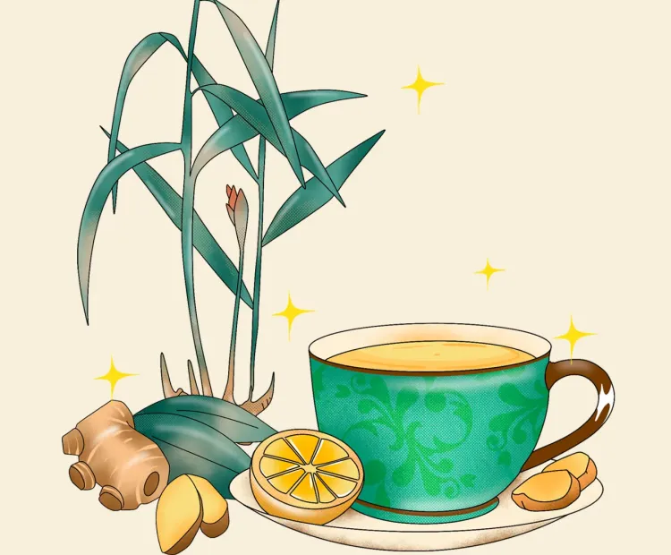 Infusiones y aromáticas