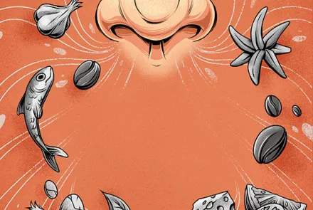 Anosmia: la pérdida del olfato