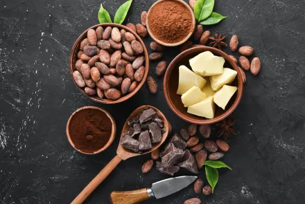 emprendimientos de chocolate
