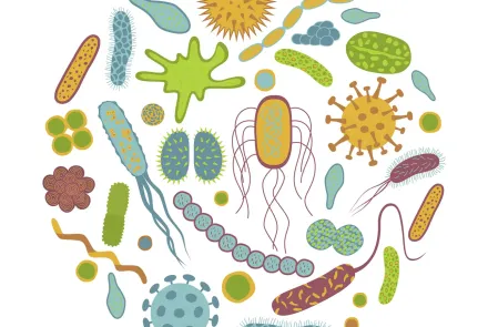 Microbiota