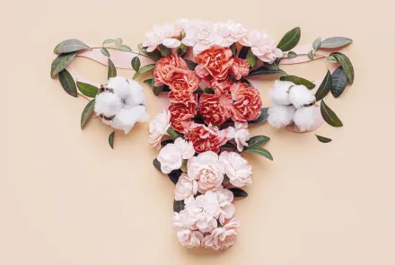 Prevención, diagnóstico y tratamiento del cáncer de cuello uterino