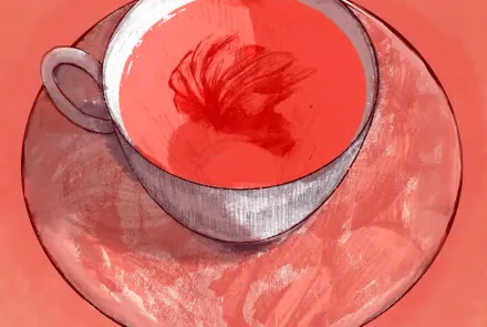 Menstruación