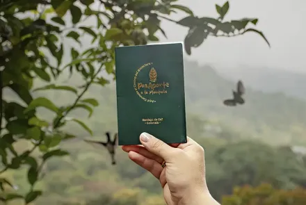 las montañas de Cali