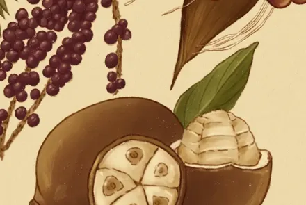 superfrutos amazónicos