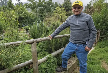 educación ambiental Colombia
