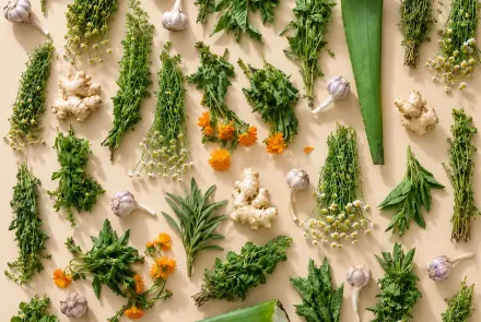plantas medicinales